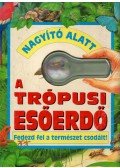 Paul Sterry - Nagyító alatt a trópusi esőerdő