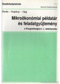 Berde Éva,Kopányi Mihály,Vági Márton - Mikroökonómiai példatár és feladatgyűjtemény