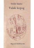 Török Sándor - Valaki kopog