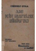 Csermely Gyula - Ami két miatyánk között van I-II.