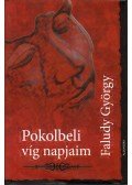 Faludy György - Pokolbéli víg napjaim