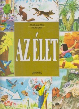 Ballér Judit - Az élet Ballér Judit - Az élet, Budapest 1991 antikvár könyv