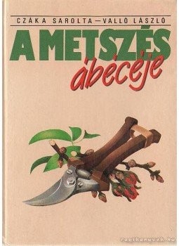 Valló László, Czáka Sarolta - A metszés ábécéje Valló László, Czáka Sarolta - A metszés ábécéje, Budapest 1991 antikvár könyv