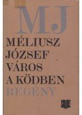 Méliusz József - Város a ködben