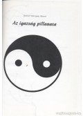 Gyulavári Béla Gyula - Az igazság pillanata