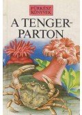 Fitter, Rosalind,Ray, Susanna - A tengerparton