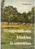 Vinczeffy Imre - Gyepgazdálkodás képekben és számokban