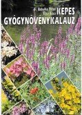 dr. Babulka Péter,Kósa Géza - Képes gyógynövénykalauz
