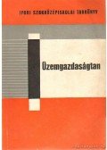 Molnár Zoltán - Üzemgazdaságtan