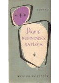 Rubinowicz, David - Dawid Rubinowicz naplója