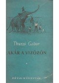 Thurzó Gábor - Akár a vízözön