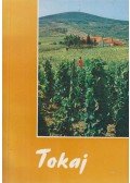 Tózsa István - Tokaj
