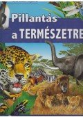 Dr. Bakonyi Gábor,Dr. Kiss István,Dr. Vásárhelyi Tamás,VOJNITS ANDRÁS DR.,Kiss Bitay Éva,Schmidt Egon,Veres László - Pillantás a természetre