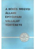Andó György - A Békés megyei államiépítőipari vállalat története