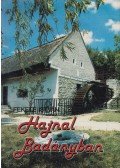 Fekete István - Hajnal Badányban