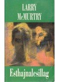 Larry McMurtry - Esthajnalcsillag