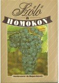 Bognár Károly - Szőlő a homokon