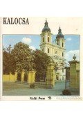 Halasy Gábor- Romsics Imre - Kalocsa