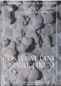 Galácz András,Monostori Miklós - Ősállattani praktikum