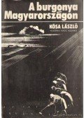 Kósa László - A burgonya Magyarországon