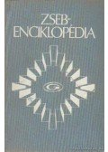Főgler Klára - Zsebenciklopédia