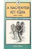 Jókai Mór - A nagyenyedi két fűzfa