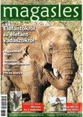 Kovács Zsolt - Magasles 42. (2007. március - V. évfolyam 3. szám)