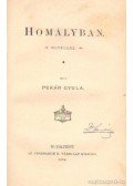 Pekár Gyula - Homályban
