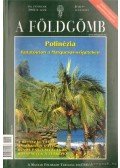 Nemerkényi Antal - A Földgömb 2003/4.