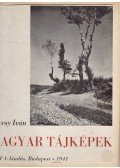 Hevesy Iván - Magyar tájképek