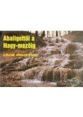 Nagy Gábor - Abaligettől a Nagy-mezőig
