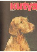 dr. Joób-F. Tamás (főszerk.) - Kutya 1990. 53. évf. (teljes)