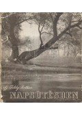 ifj. Tildy Zoltán - Napsütésben