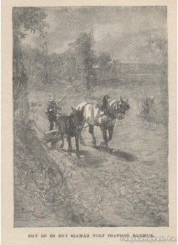 Verne Gyula - Senki fia I-II. Verne Gyula - Senki fia I-II., Budapest 0 antikvár könyv