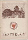 Zolnay László - Esztergom