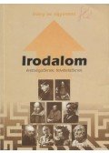 Somos Béla - Irodalom érettségizőknek, felvételizőknek