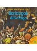 Veres László,Csorba Gábor - Barlangok élővilága