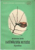 Dr. Jeszenszky Árpád - A gyümölcsfák metszése képekben