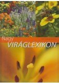 Szabó Péter,Illyés Csaba,Dede Géza,Balázs Erzsébet,Nagy Árpád,Hajdu Zsuzsanna - Nagy viráglexikon