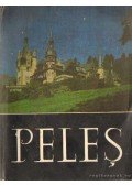 Több szerkesztő - Peles