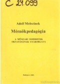 Melezinek, Adolf - Mérnökpedagógia