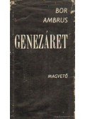 Bor Ambrus - Genezáret