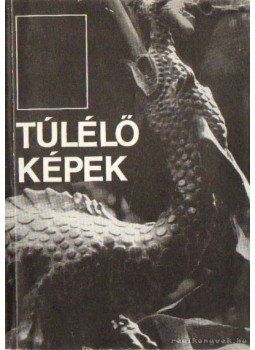 Kántor László - Túlélő képek Kántor László - Túlélő képek, Budapest 1989 antikvár könyv