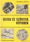 Vadász János - Sejtek és szövetek képekben