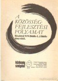 Varga A. Tamás - A közösségfejlesztési folyamat