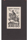 Kemény Zsigmond - Zord idő