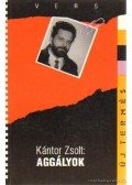 Kántor Zsolt - Aggályok