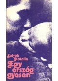 Sulyok Katalin - Egy ország gyesen
