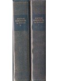 Szalai Anna - Magyar elbeszélők 19. század I-II.