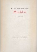 Radnóti Miklós - Meredek út (reprint)